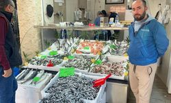 Hamsi fiyatları 100-150 TL'ye geriledi