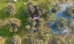 Hasat başladı! Marmarabirlik'ten 70 bin tonluk alım hedefi