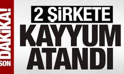 Hat Holding ve İnvestco Holding'e TMSF kayyum olarak atandı