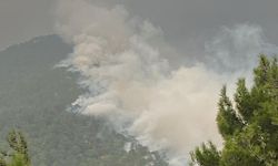 Hatay'da iki ayrı noktada çıkan yangın kontrol altına alındı