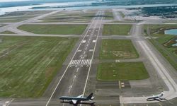 Havalimanında ayı krizi! Japonya'da uçuşlar durduruldu