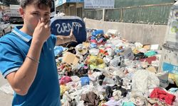 İzmir'de çöp krizi bitmeden kara sinek kabusu başladı!