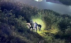 Kaçak göçmen taşıyan otomobil Asi Nehri'ne uçtu: 9 yaralı