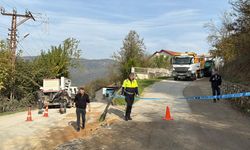 Karabük'te kahreden ölüm: Damber elektrik teline çarptı...