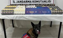 Kayseri'de 500 paket kaçak sigara ele geçirildi