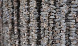 Kışın vazgeçilmezi kuru bamya 2 bin TL'den tezgahta