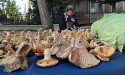 Kütahya'da 'Melki' bereketi