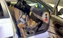 'Magnum' Erzurum'da koltuğun içine gizlemiş 8,5 kilo metamfetamin buldu