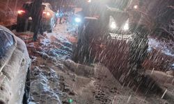 Malatya'da kar ve tipi ulaşımı olumsuz etkiledi