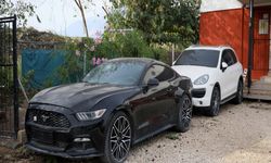 Milyonluk araçlar çürümeye terk edildi! 20 yıldır satılmayı bekleyenler var