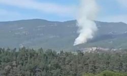 Muğla'da orman yangını korkuttu