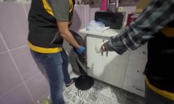 Mutfak dolabından AK-47 ve pompalı tüfek çıktı