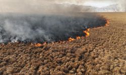 Nehil Sazlığı'ndaki yangın 4 gün sonra söndürüldü