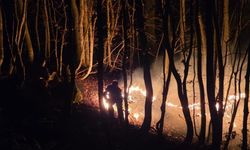 Ordu'da örtü yangını