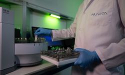 Orzax'tan global büyüme hamlesi