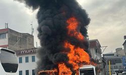 Park halindeki otobüsler cayır cayır yandı