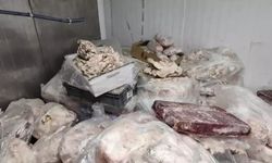 Piyasaya süreceklerdi: 25 ton bozuk tavuk ürünü ele geçirildi