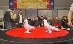 Sakarya'da '6. Tepeli Kostüm Güvercinleri Festivali' düzenlendi