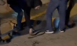 Şanlıurfa'da bıçaklı kavga: 3 yaralı