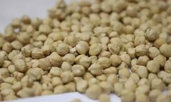 Ticaret Bakanlığı'ndan ''nohut'' kararı