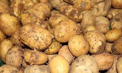 Ticaret Bakanlığından patates fiyatlarına ilişkin açıklama