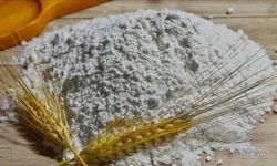 TİGEM 2 bin ton buğday satacak