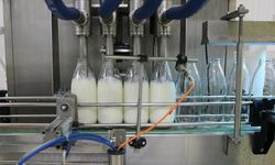 Toplanan inek sütü miktarı eylülde 892 bin 886 ton oldu