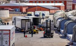 Türkiye'nin lojistik deviydi! Fransızlara satıldı