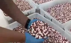 Uyuşturucu imalathanesine operasyonda 1,8 milyon sentetik ecza hap ele geçirildi