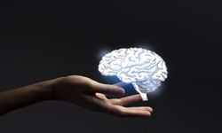 'Yetişkin oldum' demeden önce bir daha düşünün... Profesör asıl yaşı açıkladı!