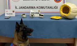 Yolcu otobüsünde şoke eden olay: Bal kabağından bakın ne çıktı!