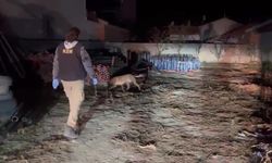 Zehir tacirlerinden 'pes artık' dedirten yöntem