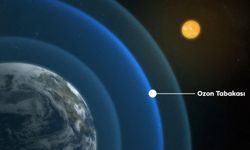 Çabalar sonuç verdi! 30 yılda sadece 4 kez bu seviyeye ulaşıldı!