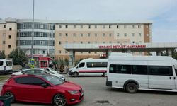 Damat katliamı: Kayınbabası ve kayınbiraderini öldürdü!