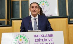 DEM Parti'den Özel'e 'Stockholm sendromu' cevabı: Sürecin karşısındaysanız açık söyleyin