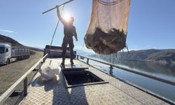 Denizi olmayan şehirden Japonya ve Avrupa'ya somon ihracatı