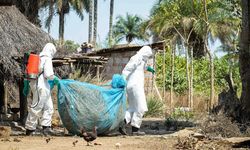 DSÖ açıkladı: Ebola salgını sona erdi