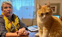 Dünyada bir ilk: Ağır suçlamalar nedeniyle kediye ev hapsi verildi!