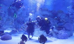 Engelliler, su altı dalışı yaparak yeteneklerini sergiledi