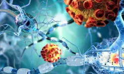 Kök Hücre Tedavisi Hangi Hastalıklarda Kullanılıyor?