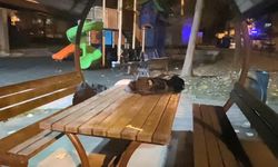 Liselilerin kavgası kanlı bitti! Bir öğrenci yaralı