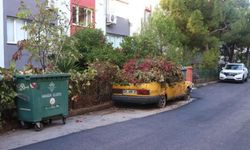 Otomobil 8 yıl sonra bu hale geldi: Gören inanamadı