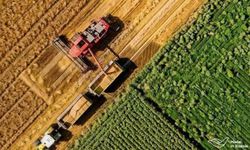 Rusya'dan Türkiye'ye tarım ihracatı %85 arttı: Made in Russia artışta nasıl bir rol oynadı