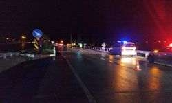 Tokat'ta otomobilin çarptı yaya öldü