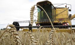 Üreticilere kasımda 376,8 milyon lira destekleme ödemesi yapıldı