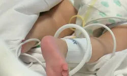 Fatih'teki Bebek Ölümünde Flaş Gelişme: 4 Şüpheli Tutuklandı!