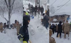 Van'da Korkutan Çığ Felaketi! Mahalleye Çığ Düştü: 1 Kişi Kayıp