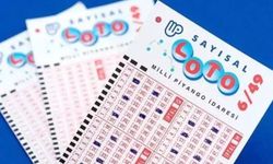20 Nisan Çılgın Sayısal Loto Sonuçları Açıklandı