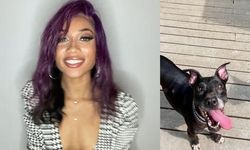 ABD'li Kadın, Ölen Köpeğini Dondurarak Koruma Kararı Aldı