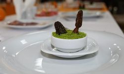 Adana'da Portakal Çiçeği Karnavalı'na Özel 'Bozkurt Tatlısı' Tanıtıldı